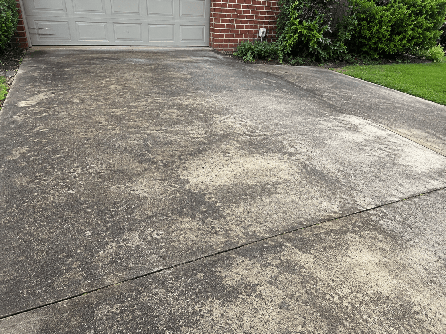 Concrete driveway before pressure washing — heavy algae and lichen staining