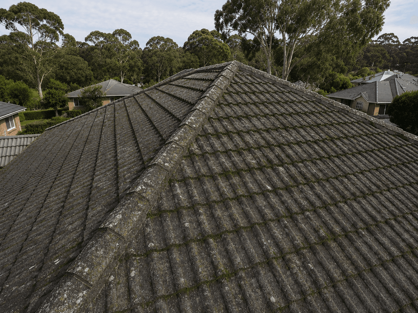 Heavy lichen and moss on terracotta tiles